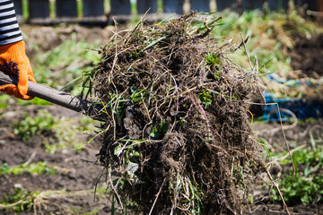 Fototapeta premium Spring garden work. Selective focus.