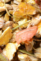  natural sportive  muesli background. for horse.macro