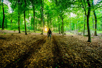 Wald-Wanderung - Germany