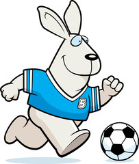 Cartoon Rabbit Soccer