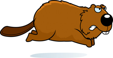 Angry Cartoon Beaver © corythoman
