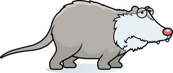 Sad Cartoon Opossum