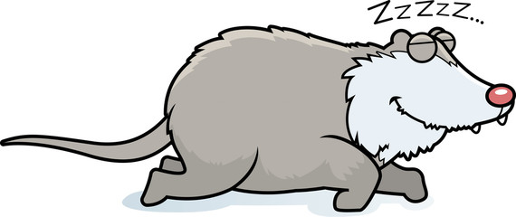 Cartoon Opossum Sleeping