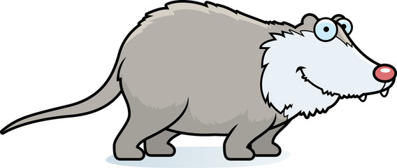Cartoon Opossum Smiling