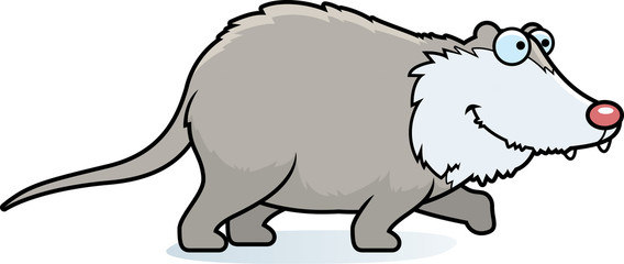 Cartoon Opossum Walking