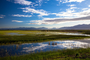 Clouds reflected at dawn in the marsh at Alamosa National Wildlife Refuge in southern Colorado, with the Sangre de Cristo range of the Rocky Mountains in the background