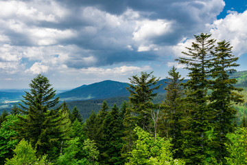 Fototapeta premium Blick vom Berg in das Thal mit Wolken am Himmel und Bäume im Vordergrund im Bayerischen Wald