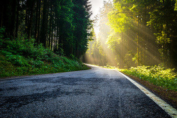 Sonnenstrahlen im morgentlichen Wald auf einer Straße welche durch den Bayerischen Wald führt