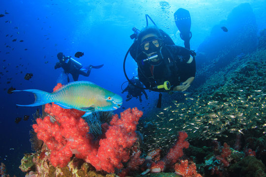 Scuba diver on coral reef with fish
