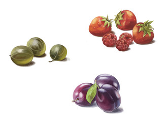 Fruits drawn, digital painting, strawberry, gooseberry, plum on white isolated background