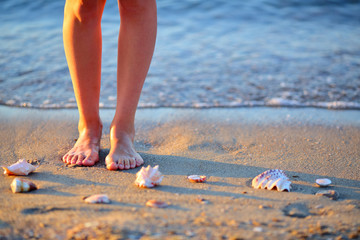Seashells and woman feet in the sand on the sea beach
