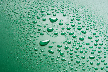 Water Drops on a Green Background