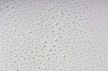Water Drops on a White Background