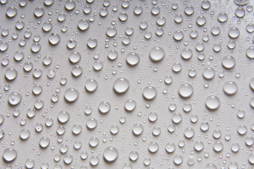 Water Drops on a White Background