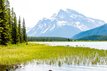 春のカナディアン・ロッキー　バンフ国立公園　下水鳥湖（ロアー・ウォーターファウル・レイク）（カナダ）