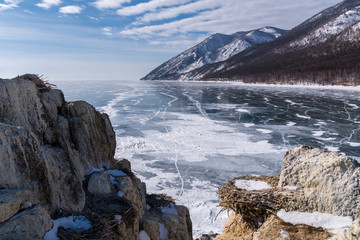 Nest of seagull on the Cormorant island