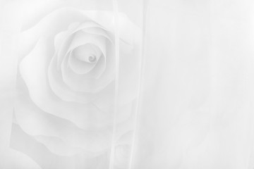 White flower behinde veil, floral background, wedding card, greeting card template