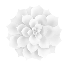White paper flower on white background