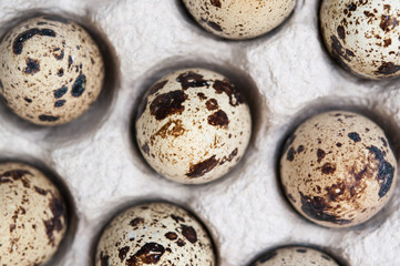Quail eggs in the package. The view from the top.