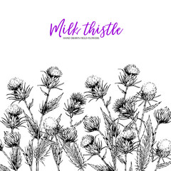 Hand drawn wild flowers. Milk marian thisthle flower. Medical herb. Vintage engraved art. Border composition. Good for cosmetics, medicine, treating, aromatherapy, nursing, package design health care.