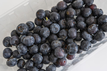 Blaubeeren - johannisbeeren