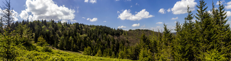 panorama of the Carpathian mountains, national park Skolevski beskidy, Lviv region of Western Ukraine