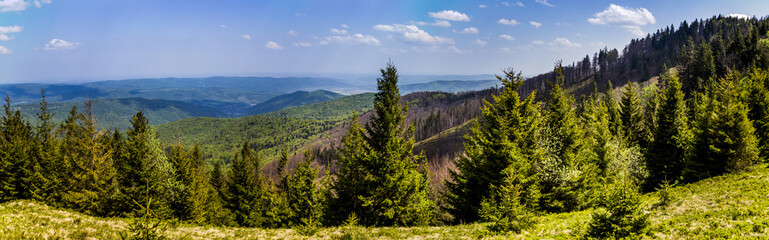 panorama of the Carpathian mountains, national park Skolevski beskidy, Lviv region of Western Ukraine