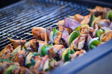 mix grilled skewers close up
