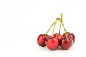 Cherry Isolated on White Background