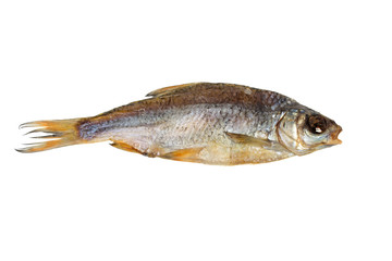 dried fish roach on a white background
