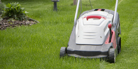 Lawn mower cutting green grass in backyard