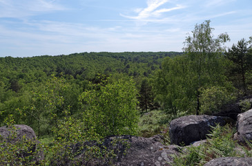 Fototapeta premium Apremont rocks in fontainebleau forest