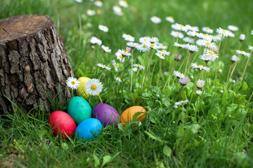 Easter egg hunt