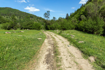 Fototapeta na wymiar Amazing landscape of Green Hills near village of Fotinovo in Rhodopes Mountain, Pazardzhik region, Bulgaria
