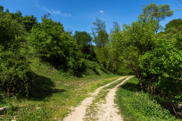 Fototapeta na wymiar Amazing landscape of Green Hills near village of Fotinovo in Rhodopes Mountain, Pazardzhik region, Bulgaria