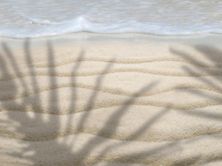 Tropical pradise beach with palm shadow.