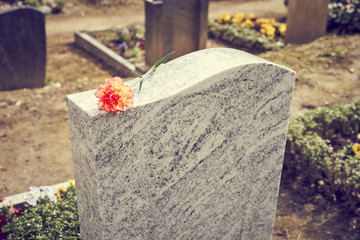 Grief at cemetery / Red carnation on gravestone / Tombstone
