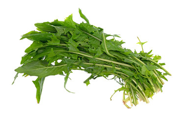 Leaves of organic dandelion greens on a white background.