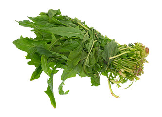 Top view of a bunch of organic dandelion greens on a white background.