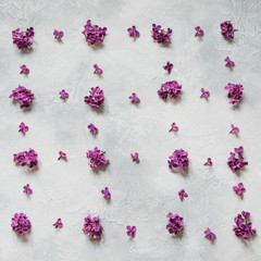 Creative still life of purple lilac flowers on light background. Top view. Flat lay.