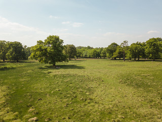 Aerial Drone Field Farmer Landscape Dunham Massey Trees