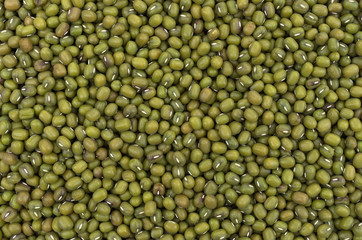 Organic mung beans.