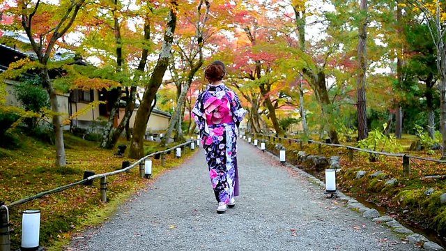 Asian woman wearing japanese traditional kimono walking in autumn park, Kyoto in Japan.