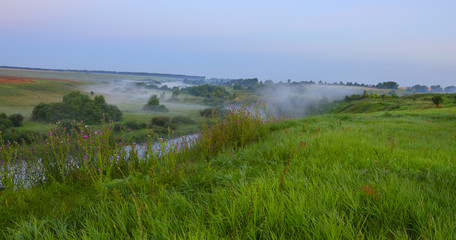 Foggy summer landscape with river and fields of ripe wheat.Haze over the full of fresh green grass pastures.