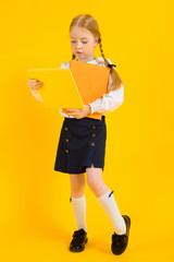 Girl with red pigtails on a yellow background. A beautiful girl is holding a folder of documents.