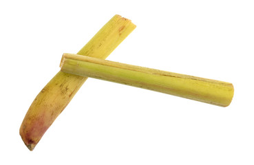 Top view of two lemon grass stalks on a white background.