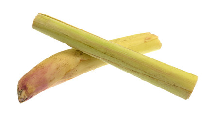 Lemon grass stalks on a white background.