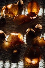 Still life of walnuts and onion skin photographed in the sunlight through blinds