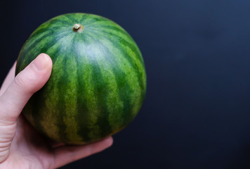 Woman's hand holding a green ripe mini watermelon on a dark background. Selective focus.