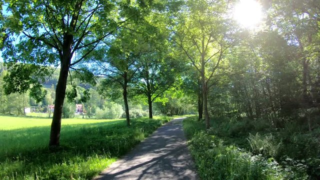 Laubwald, Buchen, Naturerlebnis, Schwenk, Panorama, Gimbal, Natur in Bewegung, Spessart, 4K